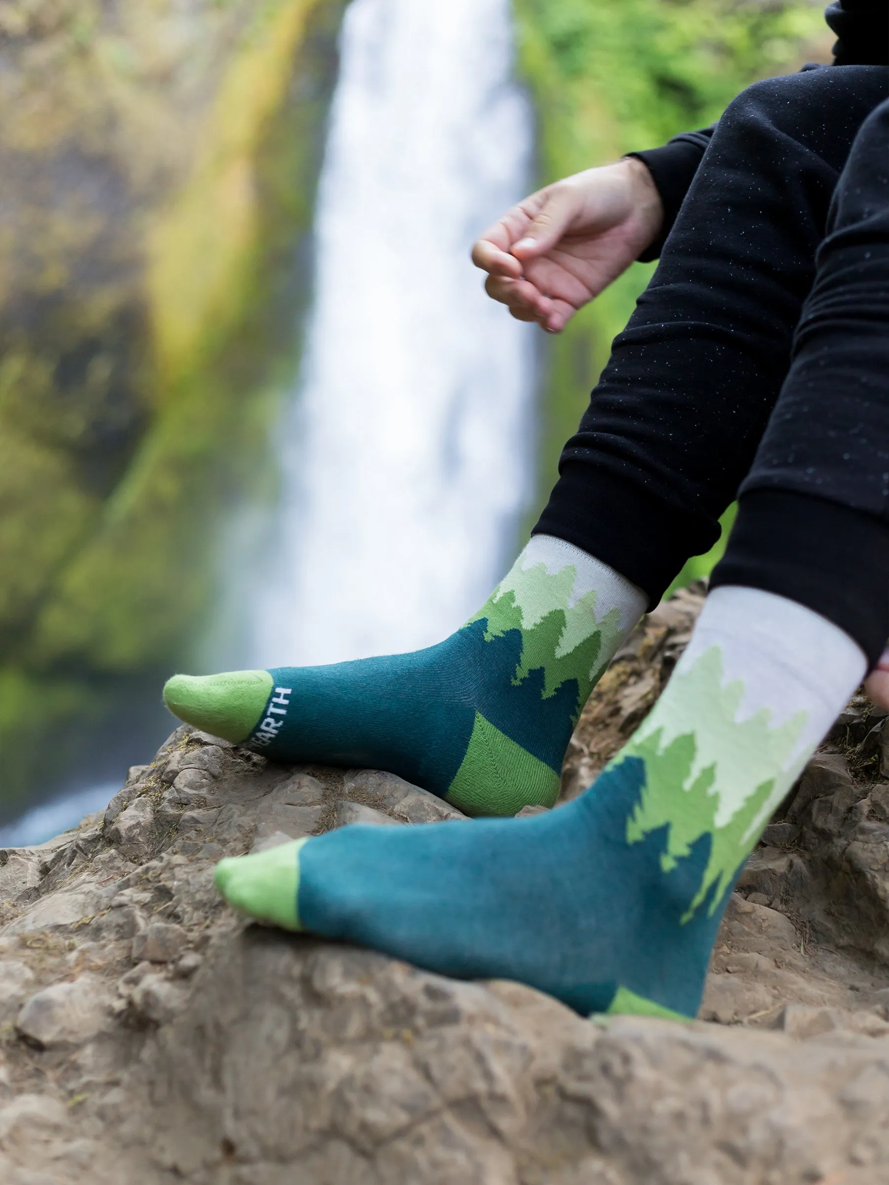 Into the Woods Socks - Set of 3