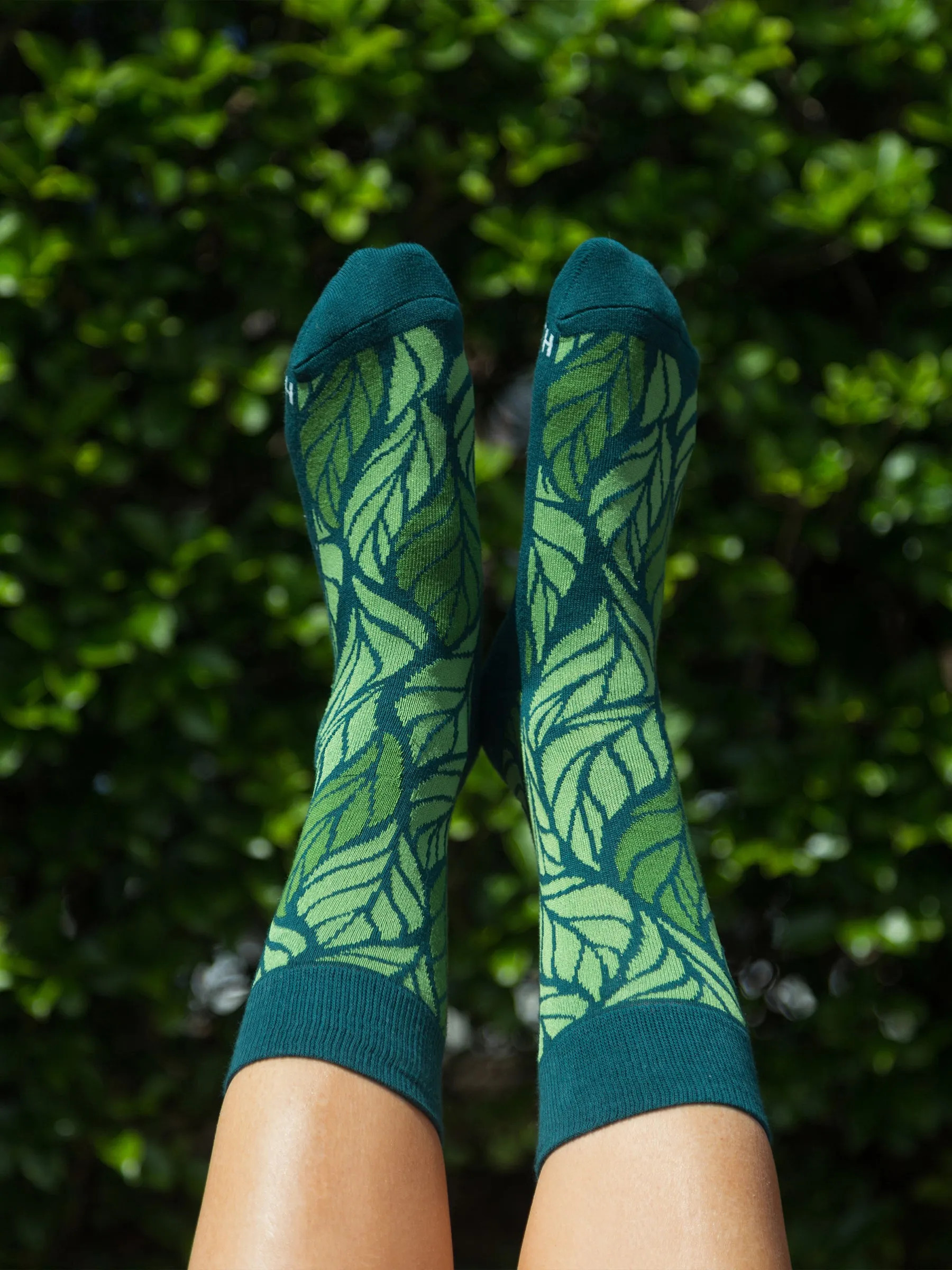 Into the Woods Socks - Set of 3