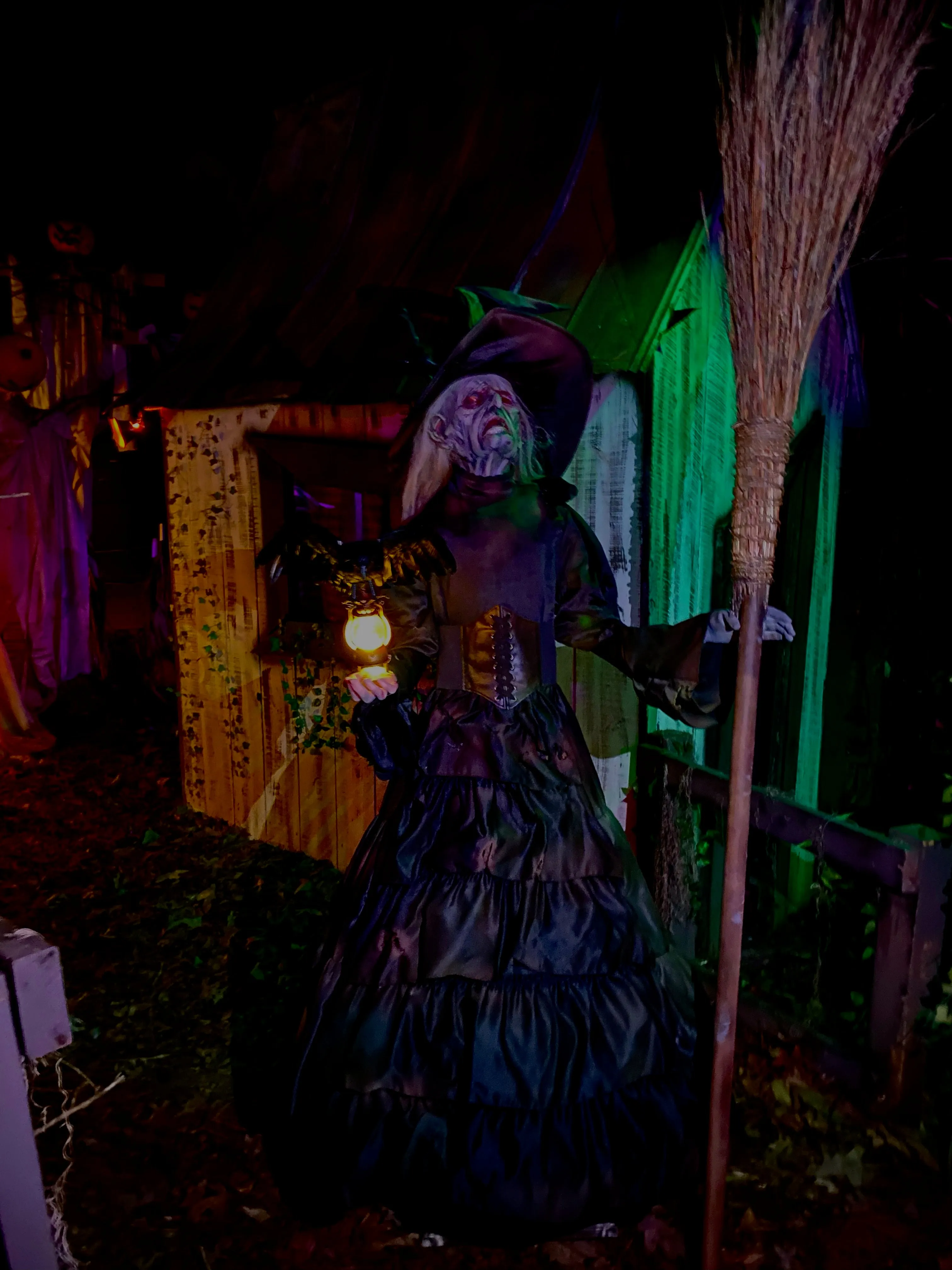 "Ravens Revenge Witch" Professional Halloween Prop