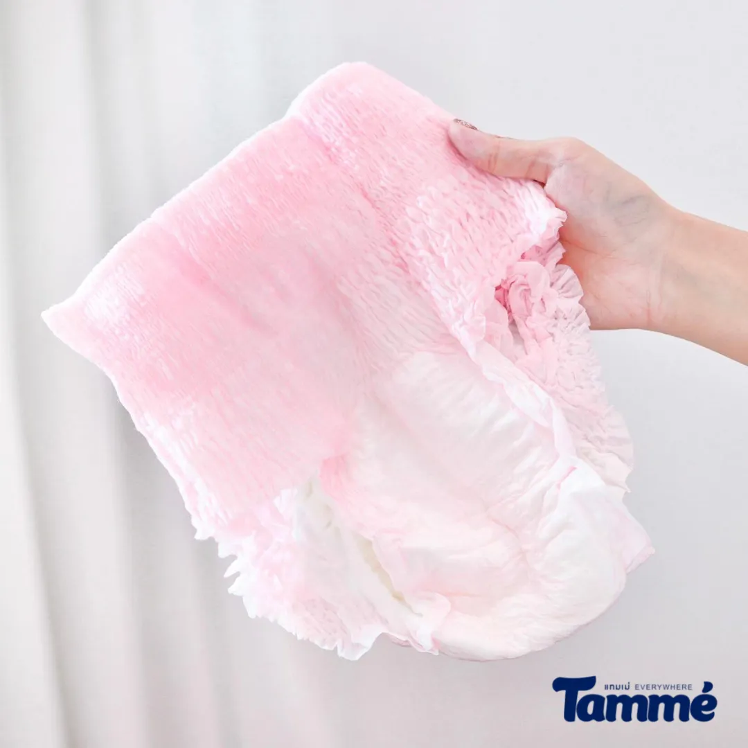 Tammè Menstrual Post Maternity Diaper Panty - Medium